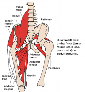 How To Get Rid Of Pinching Pain In Your Groin – Total Performance